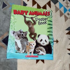 Baby Animals